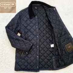 Item thumbnail for item a9e0d4c3-3bba-43fb-ad44-10def1b03707