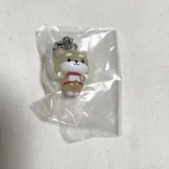 JOCHUM ジェオチャム　まめちぃ　めじるしアクセサリー