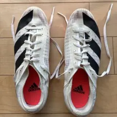 陸上スパイク　25.0㎝のサムネイル