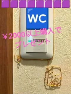 Item thumbnail for item 710017f5-6536-42e0-966e-1f8fb6b124aa