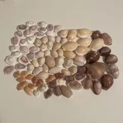 Item thumbnail for item b90fd270-6733-4f0d-b453-29e9f93da224