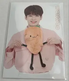 ウォヌ　トレカ