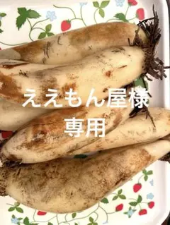 ええもん屋様専用のサムネイル