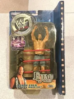 WCW トイビズ WWE スコット·スタイナー(ビッグパパパンプ) フィギュア