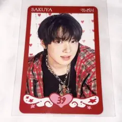 NCTWISH サクヤ STEADY MD トレカ
