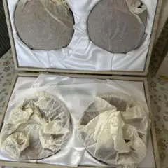 Item thumbnail for item 3dfa64e0-1afd-4245-9c64-5039f41baf8e