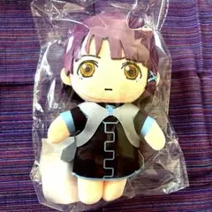 serial experiments lain 岩倉玲音 着せ替え ぬいぐるみ - メルカリ
