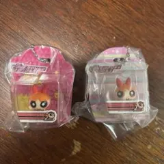 パワーパフガールズ ブリスター チャーム コレクション　ブロッサム2個セット