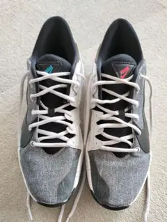 バスケットボールシューズ ナイキ NIKE ズーム フリーク　※値下げしました