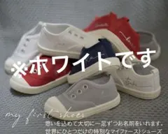 Item thumbnail for item 22dd1238-4664-41d9-92b4-c24703081696