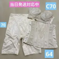 2026年最新】フォーシスアンドカンパニー ガードルの人気アイテム