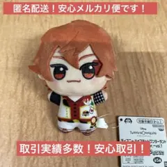 ディズニー ツイステッドワンダーランド ちびぐるみ 寮服　エース