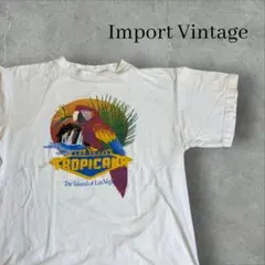 80's インポート ヴィンテージ オウム フェード Tシャツ シングルステッチ