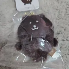 【新品】カラーなナガノのくまマスコット　ダークブラウン　ぬいぐるみ