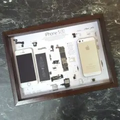 2026年最新】iPhone 標本アートの人気アイテム - メルカリ