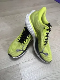 Item thumbnail for item 6a9eaaf3-c2c0-4ef2-b9a6-3e557cb40cbb