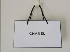 CHANEL シャネル ショップ袋 ショッパー