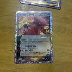 マグマ団のグラードン プロモカードパック 25th ANNIVERSARY美品‼️