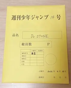 Dr.STONE 応募者全員サービス 最終話まるごとデジタル原稿プリント