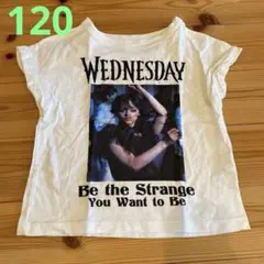 ZARA WEDNESDAY Tシャツ 6-7サイズ