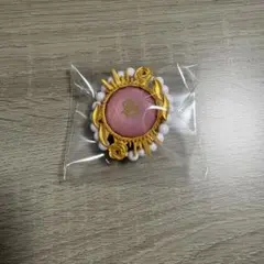 斎宮宗 リングライト