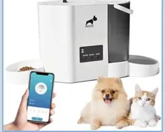 Item thumbnail for item bcc740c8-0f77-42db-bcfb-b6a1d0f4d9f8