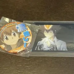 家庭教師ヒットマンREBORN 沢田綱吉　激推し　缶バッジ　クリアカード