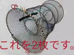 2025年最新】日本の水生昆虫の人気アイテム - メルカリ