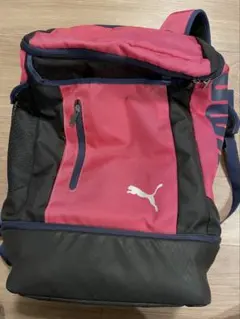 Item thumbnail for item 88495f28-96b0-4b99-b212-061b4a37d637