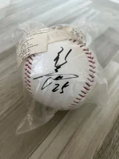 2025年最新】新井貴浩 サインの人気アイテム - メルカリ