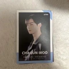 2026年最新】チャウヌ グッズの人気アイテム - メルカリ