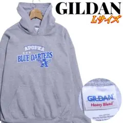 GILDAN ギルダン APOPKA BLUE DARTERS パーカー L