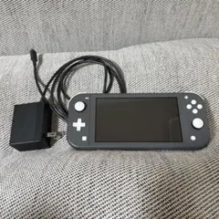 2026年最新】nintendo switch lite グレーの人気アイテム - メルカリ