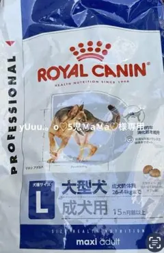 ROYAL CANIN マキシアダルト大型犬用 大粒16キロドライフード