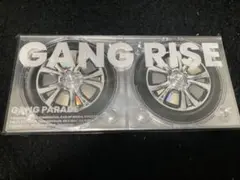 GANG RISE