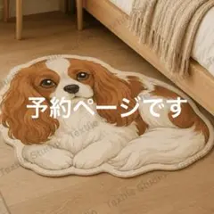 HiNoka様 予約ページです