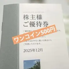 東急不動産株主優待　ゴルフ場・スキー場　割引券2枚
