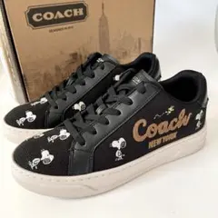 Item thumbnail for item e28f868f-170a-4147-9129-cfa1cf1c86d6