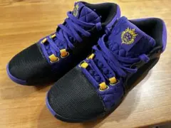 【新品未使用】NIKE バスケットシューズ レブロンウィットネス8 EP 箱無し