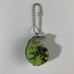グリーンイグアナ　マスコットボールチェーン