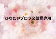 ひなた@プロフ必読様専用　ネイルチップ