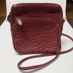 オーストリッチ　レザーショルダーバッグ　サコッシュ　ポーチ　旅行