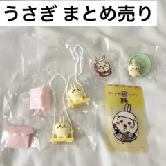 ちいかわ うさぎ ラーメン豚 ブランコ2 チョコサプ アクスタ まとめ売り