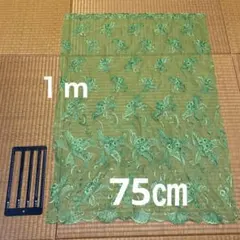 Item thumbnail for item 8d6617fb-2fa0-4ed0-89a0-fca0e6437189