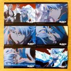 bleach ブリーチ　 2010 ポスター 日番谷冬獅郎　ハリベル　1枚 BLEACH 一番くじ H賞 クリアポスター 日番谷冬獅郎 ブリーチ