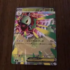 ポケモンカード　メガメガニウムex ノーマル仕様