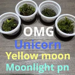 2026年最新】willinckii moonlightの人気アイテム - メルカリ