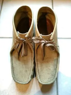 Item thumbnail for item 7c8af170-2731-45a6-bccd-2adbdffce4e8