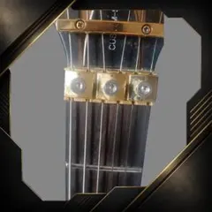 SCHECTER SYNYSTER CUSTOM-S Sustainiac搭載のサムネイル