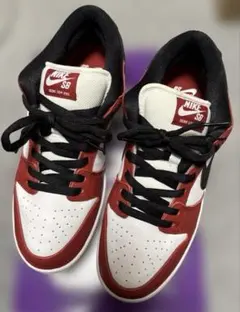 Nike SB Dunk Low \